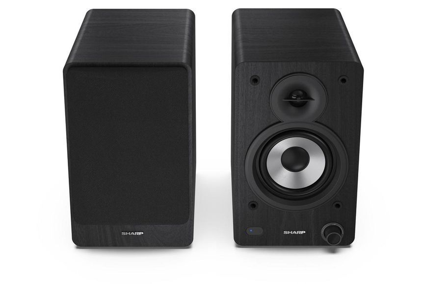 Фронтальные акустические колонки Sharp CP-SS30 Black (2-Pack) 464009 фото