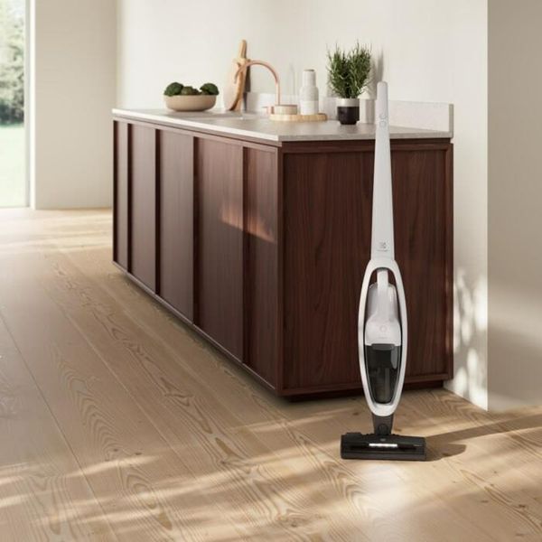 Вертикальный + ручной пылесос (2в1) Electrolux ES52CB18SH 506772 фото