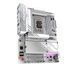Материнская плата Gigabyte Z890 Aorus Elite WIFI7 ICE 528895 фото 4