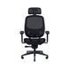 Комп'ютерне крісло Razer Fujin Pro Black (RZ38-04940100-R3G1) 518036 фото 1