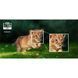 Портативний проектор AOpen Fire Legend QH31s Blue (MR.JYQ11.003) 630774ua фото 13