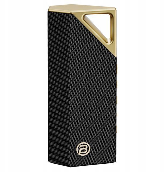 Smart-колонка Bugani Brief Black Gold 618055 фото