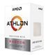 Процессор AMD Athlon 3000G (YD3000C6M2OFH) 527619 фото 1