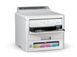 Принтер Epson WorkForce Pro EP-C800RDW (C11CK21401) 571805 фото 2