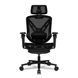 Комп'ютерне крісло для геймера Cougar Speeder Black 622967ua фото 1