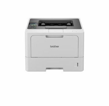 Принтер Brother HL-L5210DN (HLL5210DNRE1) 502259 фото