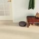 Робот-пилосос iRobot Roomba Combo Essential 512219 фото 6