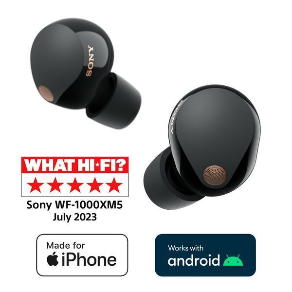 Наушники TWS Sony WF-1000XM5 Black 479571ua фото
