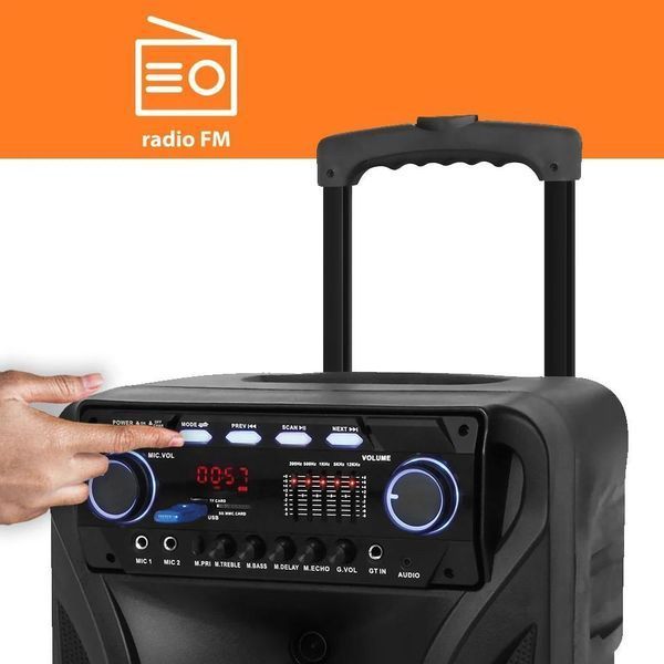Мобільна акустична система Manta SPK5021PRO 461558 фото