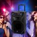 Мобільна акустична система Manta SPK5021PRO 461558 фото 2