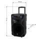 Мобільна акустична система Manta SPK5021PRO 461558 фото 5