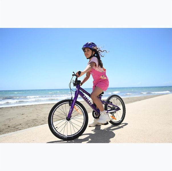 Детский двухколесный велосипед Attabo Ease 20 Purple 604654 фото