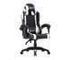 Компьютерное кресло для геймера Canyon Core SGCH2 Black/White (CNE-SGCH2W) 615222 фото 1