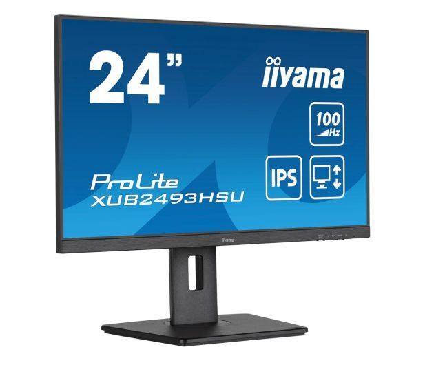 Монитор iiyama Prolite XUB2493HSU-B7 569909ua фото