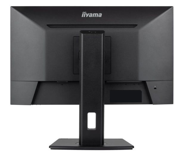 Монитор iiyama Prolite XUB2493HSU-B7 569909ua фото
