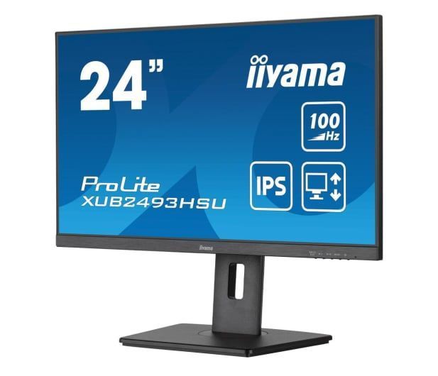 Монитор iiyama Prolite XUB2493HSU-B7 569909ua фото