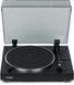 Проигрыватель виниловых дисков Thorens TD 101 A Black 501002 фото 2