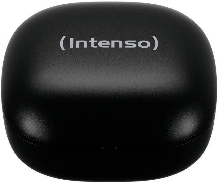 Наушники TWS Intenso Buds Pro T500HAE Black (3720500) 620656 фото