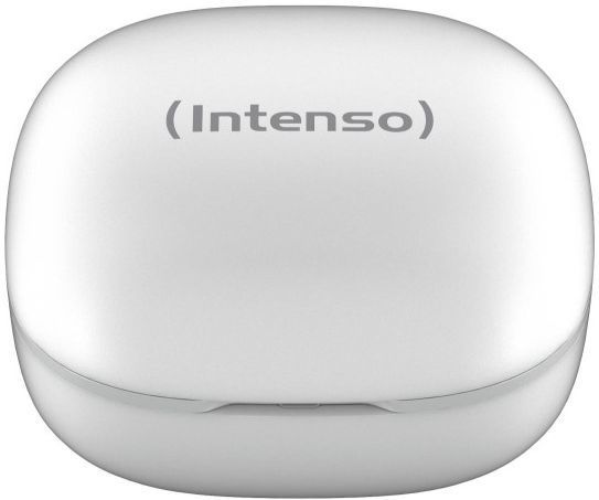Навушники TWS Intenso Buds Pro T500HAE White (3720502) 620657 фото