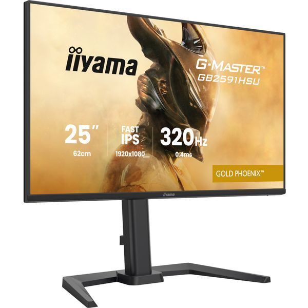 Монитор Iiyama GB2591HSU-B1 630651ua фото