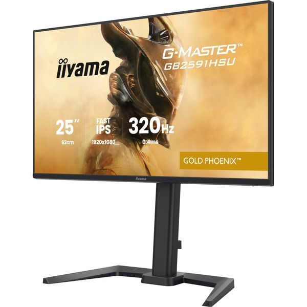 Монитор Iiyama GB2591HSU-B1 630651ua фото