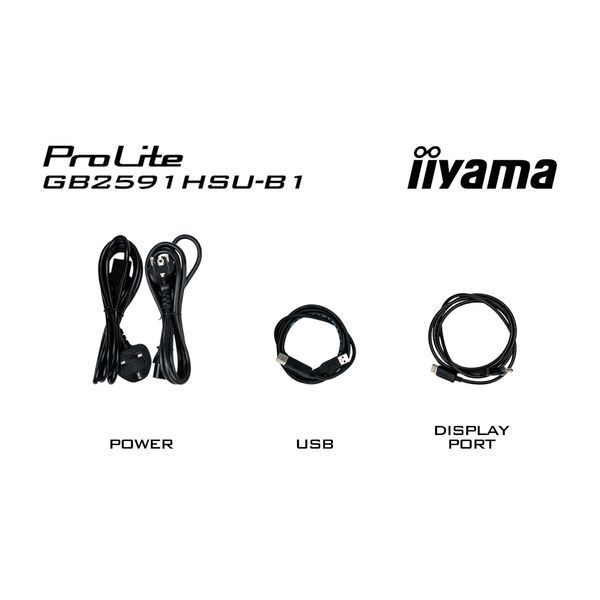 Монитор Iiyama GB2591HSU-B1 630651ua фото