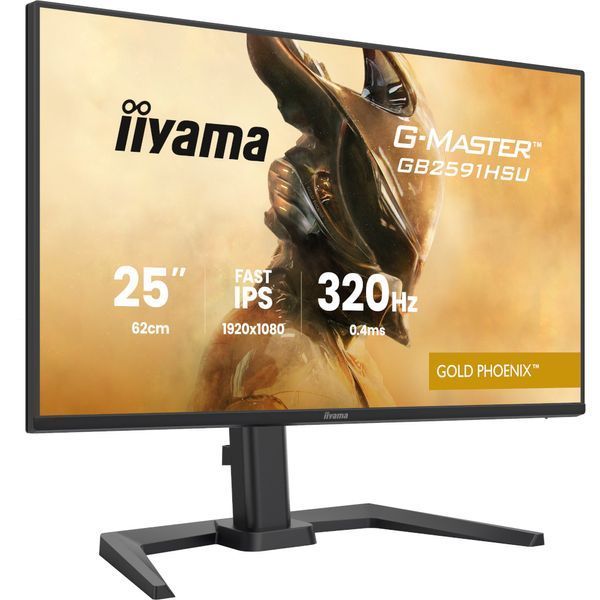Монитор Iiyama GB2591HSU-B1 630651ua фото
