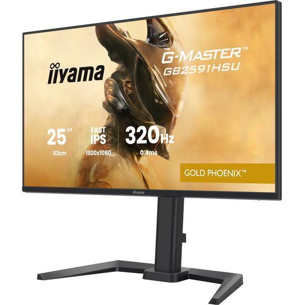 Монитор Iiyama GB2591HSU-B1 630651ua фото