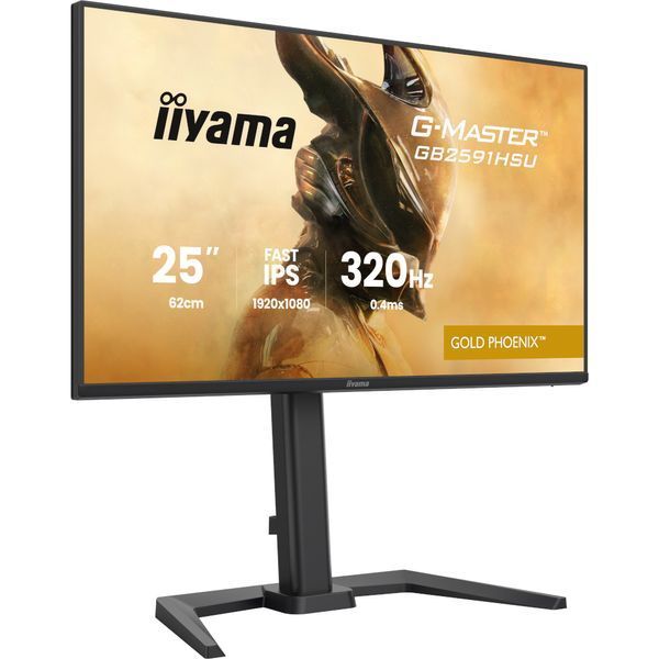 Монитор Iiyama GB2591HSU-B1 630651ua фото
