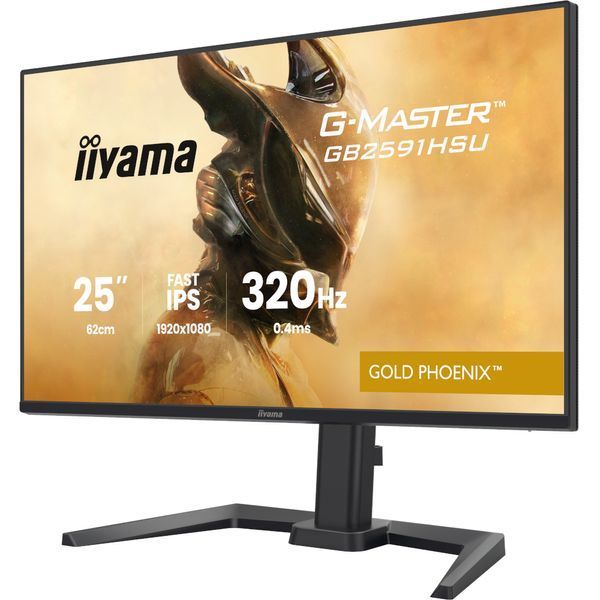 Монитор Iiyama GB2591HSU-B1 630651ua фото