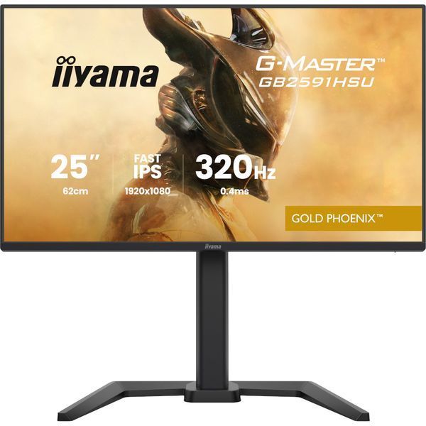 Монитор Iiyama GB2591HSU-B1 630651ua фото