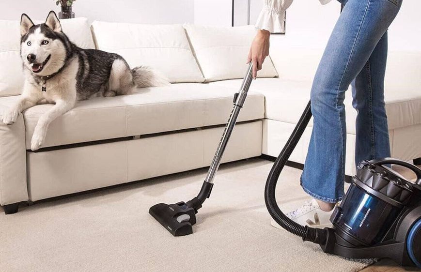 Пилосос безмішковий Cecotec Conga Rockstar Multicyclonic Compact XL Animal 621110 фото