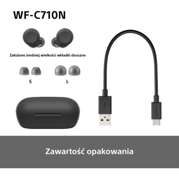 Навушники TWS Sony WF-C710N Black 572979ua фото