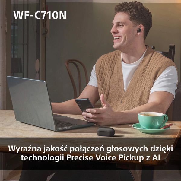Навушники TWS Sony WF-C710N Black 572979ua фото