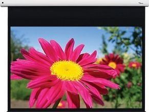 Проекційний екран Optoma Motorised 203x127 (DE-1095EGA) 621481 фото