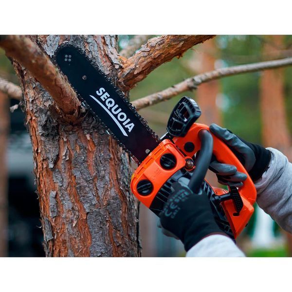 Бензопила Sequoia SPC0812 626701ua фото