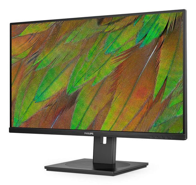 Монітор Philips 3000 Series 32B1N3800/00 531359ua фото