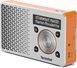 Радиоприемник Technisat DigitRadio 1 Silver-Orange 411685 фото 4